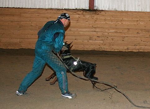 Training in Estonia 3/2007